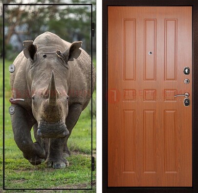 Металлическая дверь с фотопечатью носорога ДФ-31 в Сочи