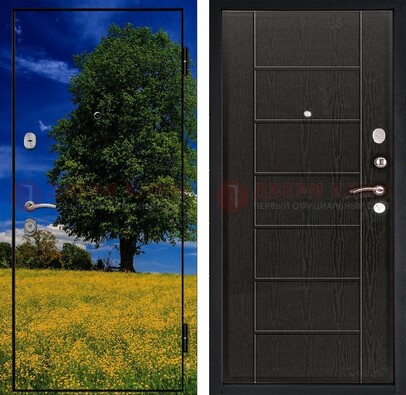 Железная дверь с фотопечатью дерева в поле ДФ-36 в Сочи